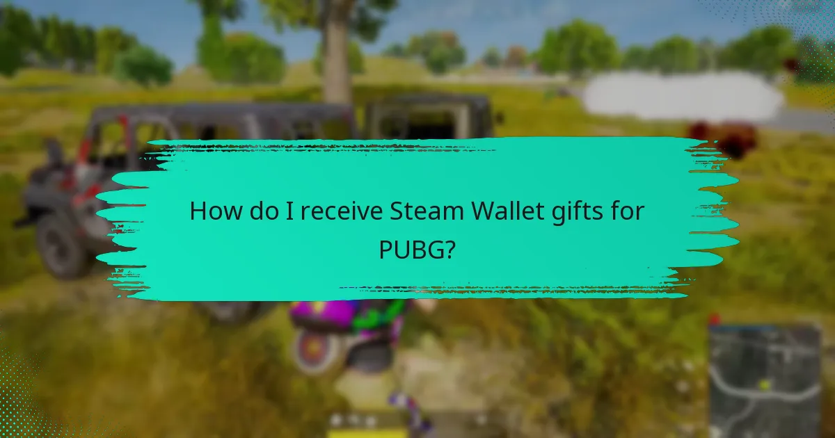 How do I send a Steam Wallet gift for PUBG?