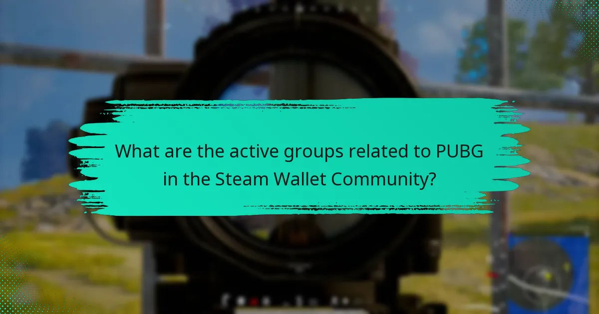 How to use the Steam Wallet for PUBG purchases?