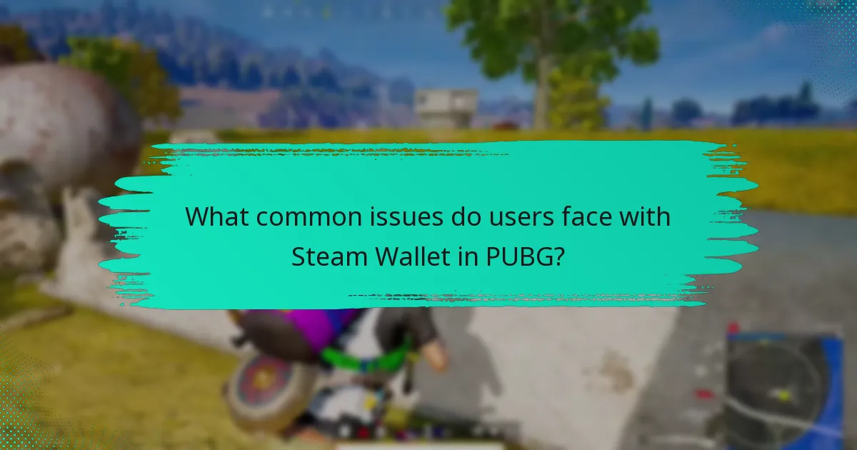 What common issues do users face with Steam Wallet in PUBG?