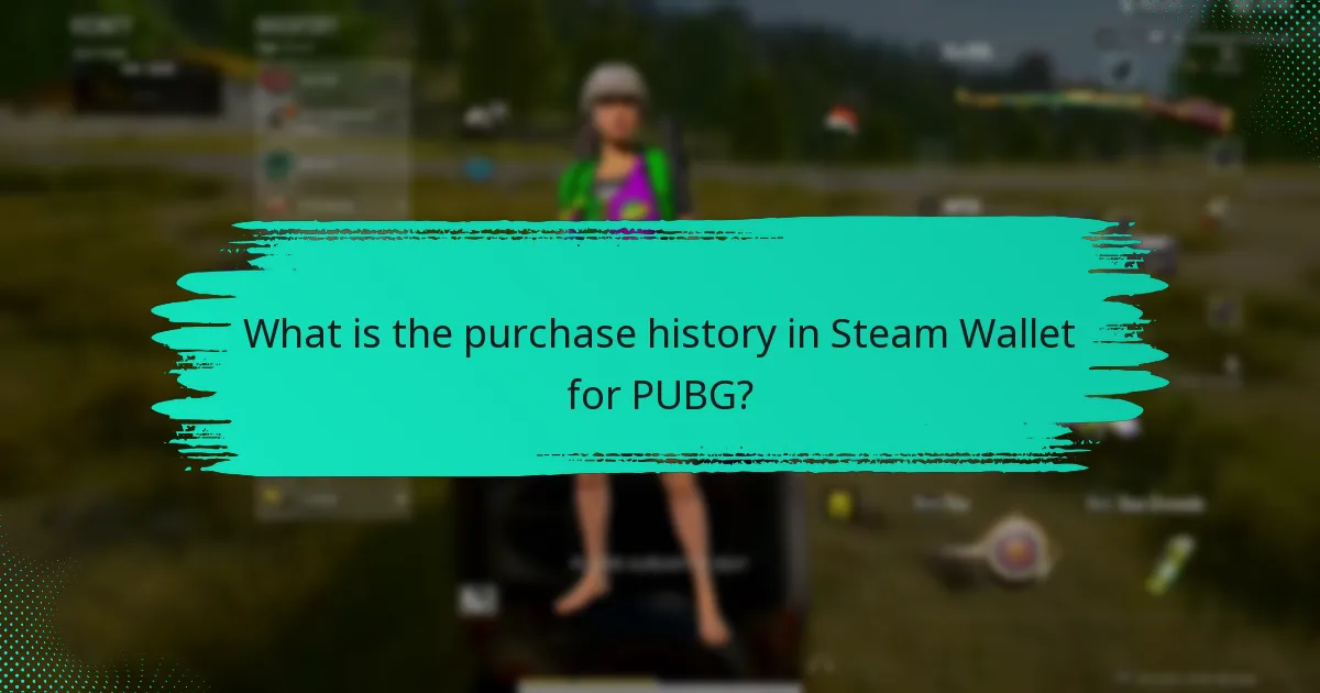 Which alternatives exist for managing Steam Wallet transactions?
